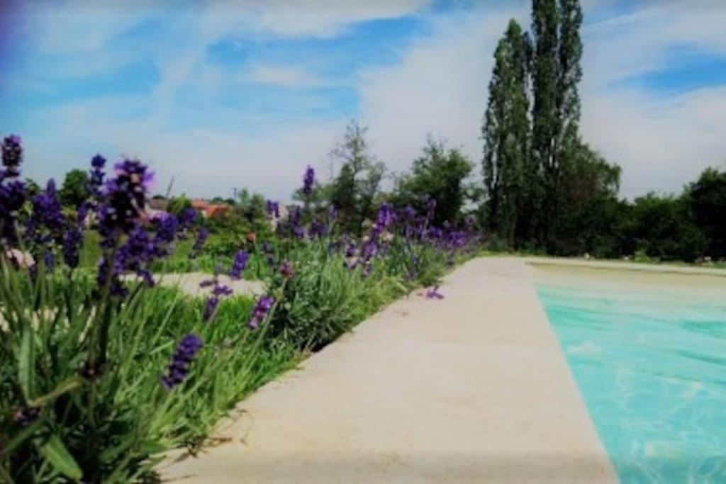 Les Vacances Passy  Экстерьер фото